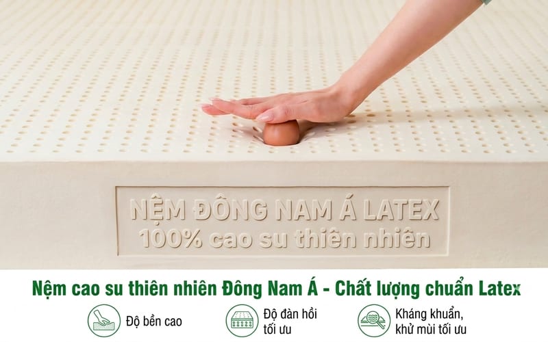 Đàn hồi chuẩn Latex — kháng khuẩn, khử mùi